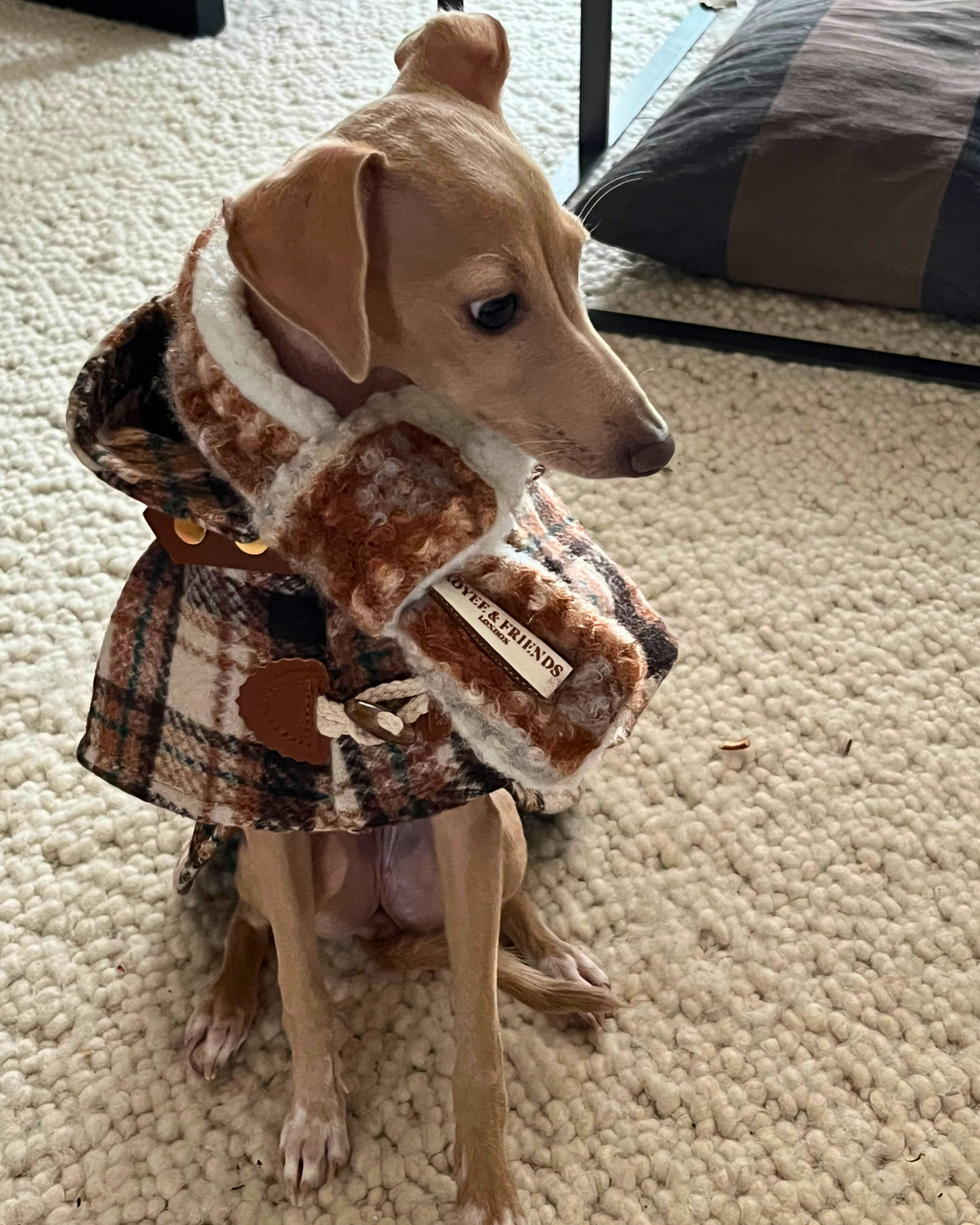Scarf