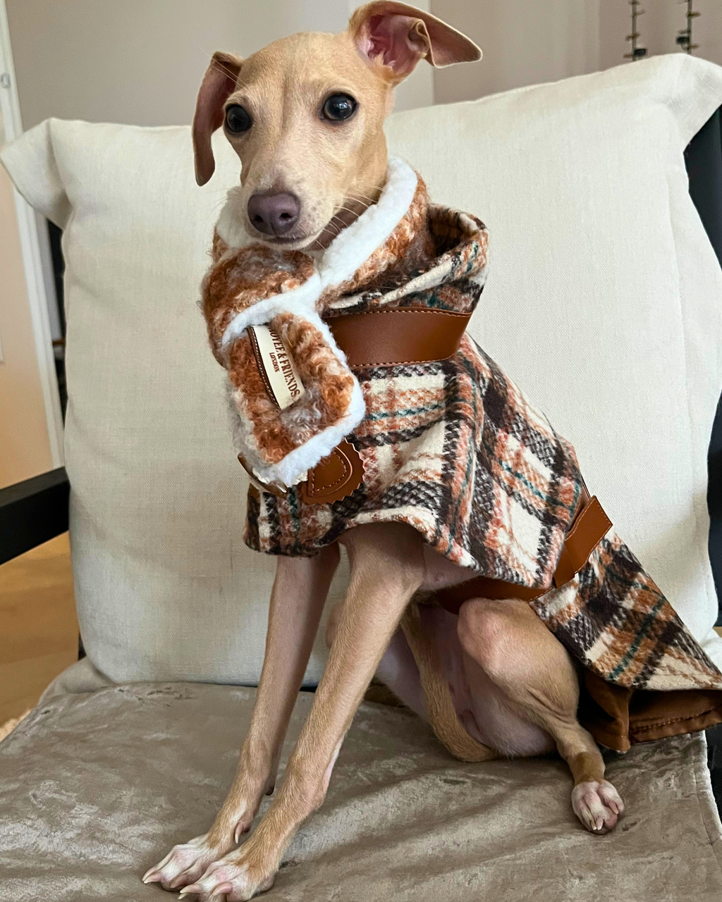 Scarf