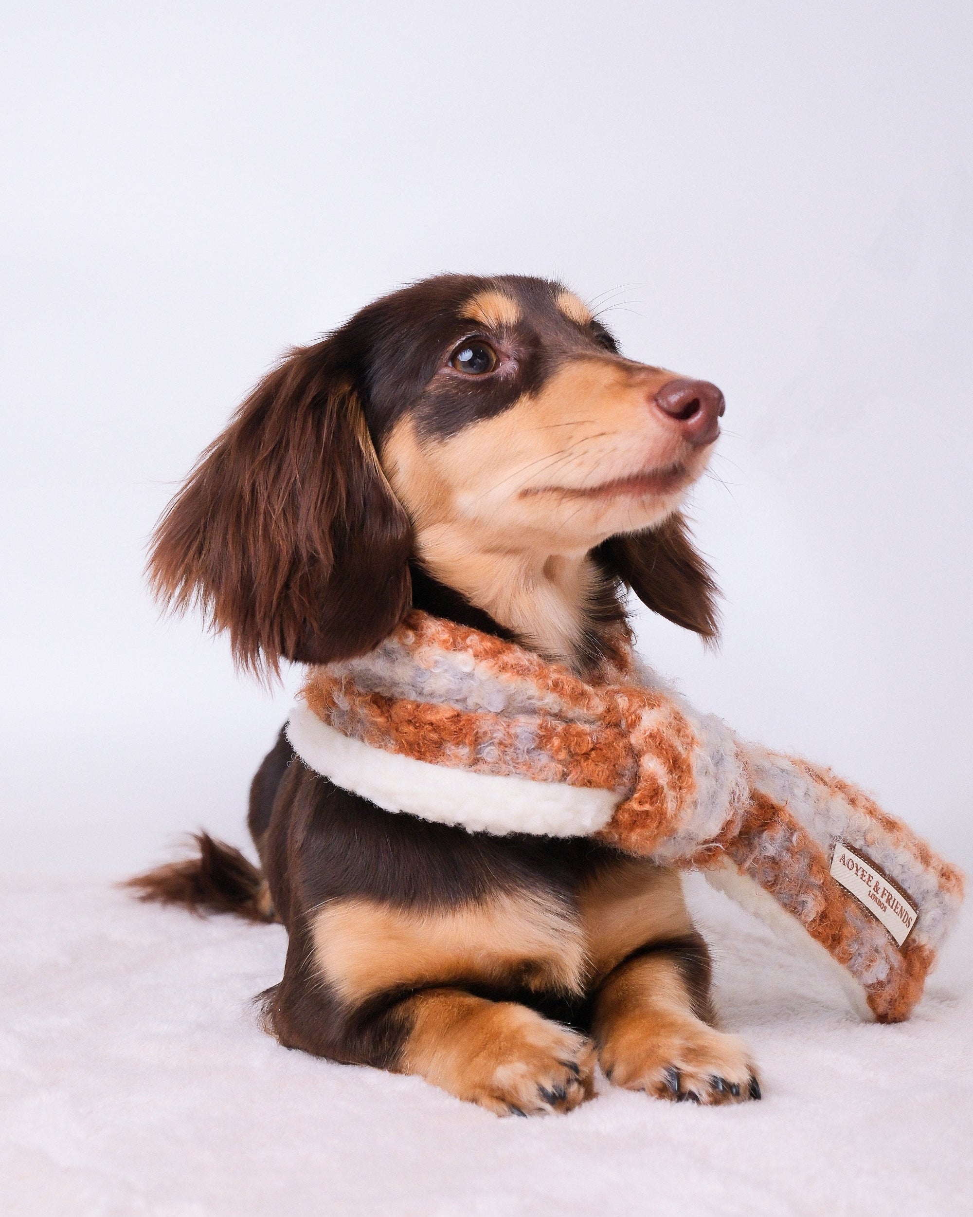 Scarf